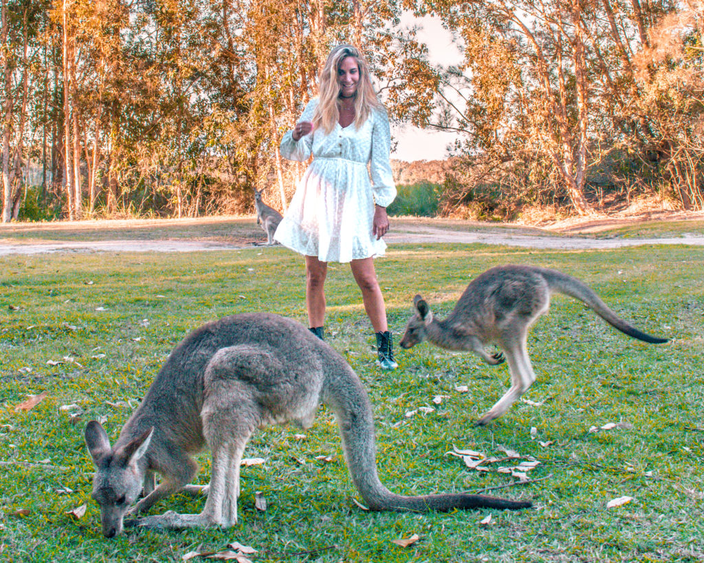Eef with Kangaroos