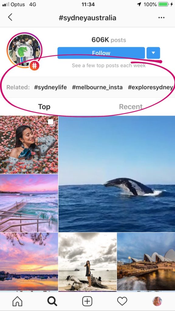 Instagram Suggestions